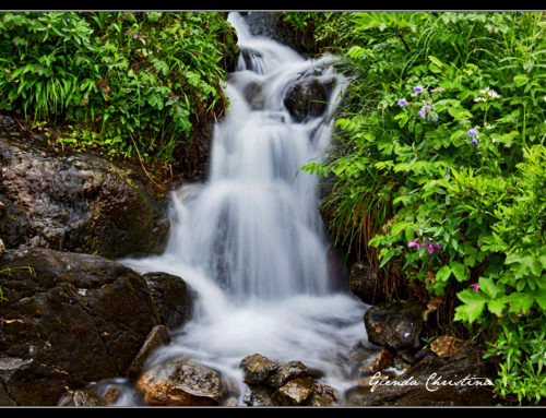 Street Ministry ~ Flowing Streams